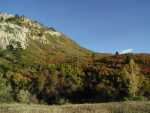RBPark_171