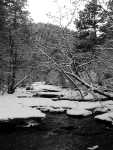 BearCreek02_302ph