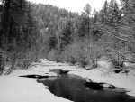 BearCreek02_307bw