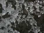OFallon02_471