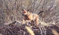 0503023Sam1
