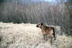 0503024Sam1