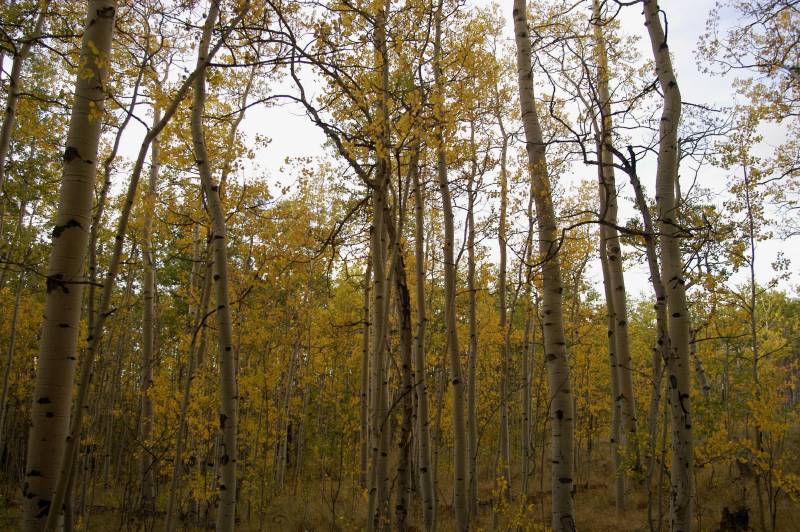 02FallColor_2414