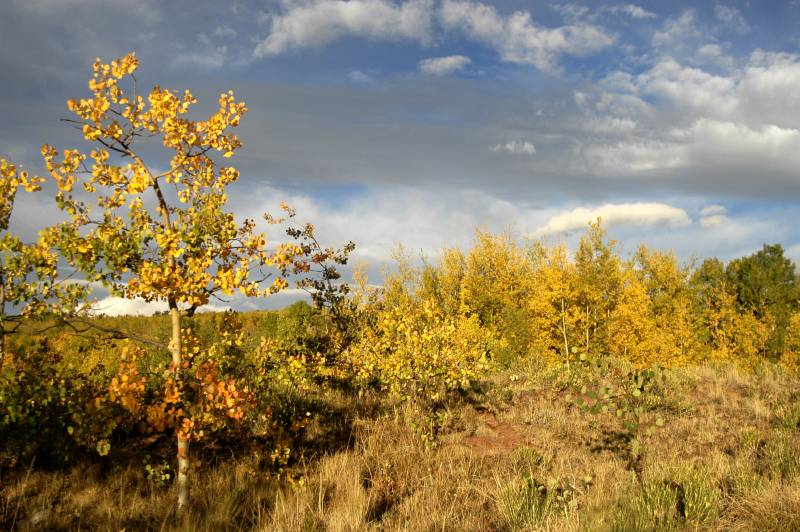 02FallColor_2434