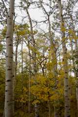 02FallColor_2413