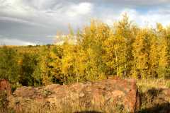 02FallColor_2441