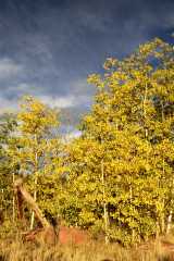 02FallColor_2459