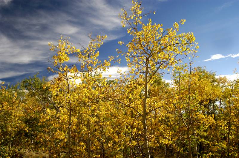 02FallColor_2571
