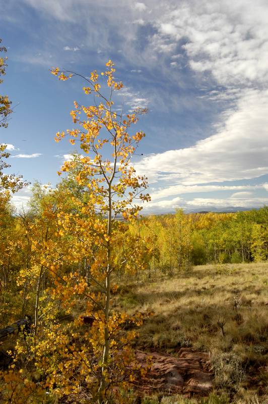 02FallColor_2583