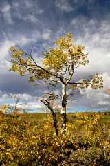 02FallColor_2564