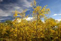 02FallColor_2571