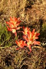 02FallColor_2590