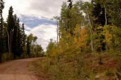 02FallColor_2598