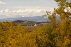 02FallColor_2608