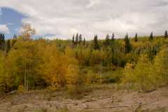 02FallColor_2611