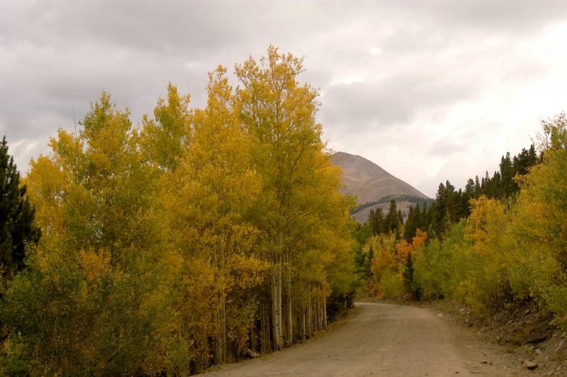 02FallColor_2287