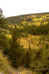 02FallColor_2267