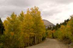 02FallColor_2287