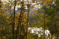 02FallColor_2346
