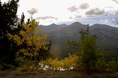 02FallColor_2348