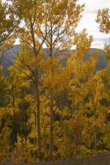 02FallColor_2350