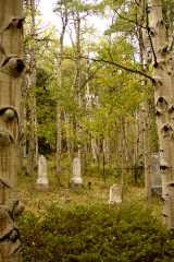 ComoCemetery_2214