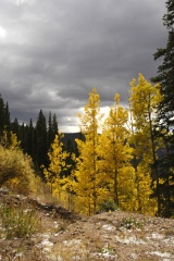 02GuanellaPass631ph