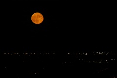 HarvestMoon