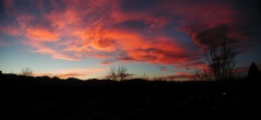 P3310pano1ph