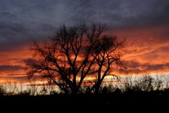 Sunset4652