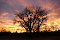 Sunset4701ph
