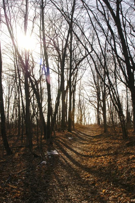 WoodpeckerTrail5672