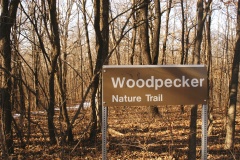 Woodpecker5684