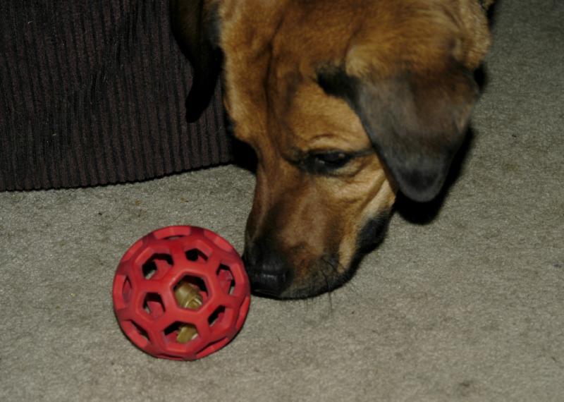 SamandPuzzle