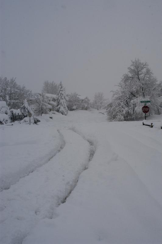 Blizzard03_025