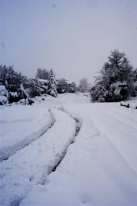 Blizzard03_0252