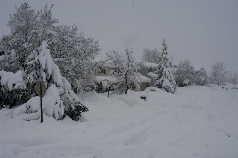 Blizzard03_028