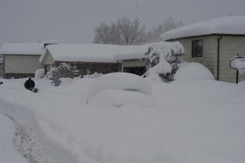 Blizzard03_031
