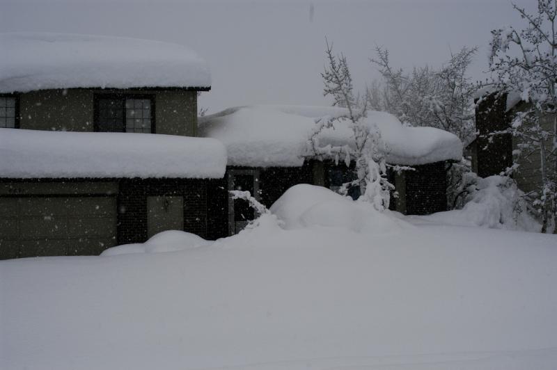 Blizzard03_033