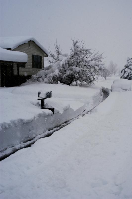 Blizzard03_038