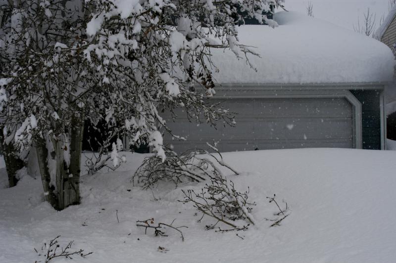 Blizzard03_040