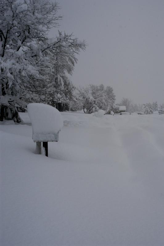 Blizzard03_041