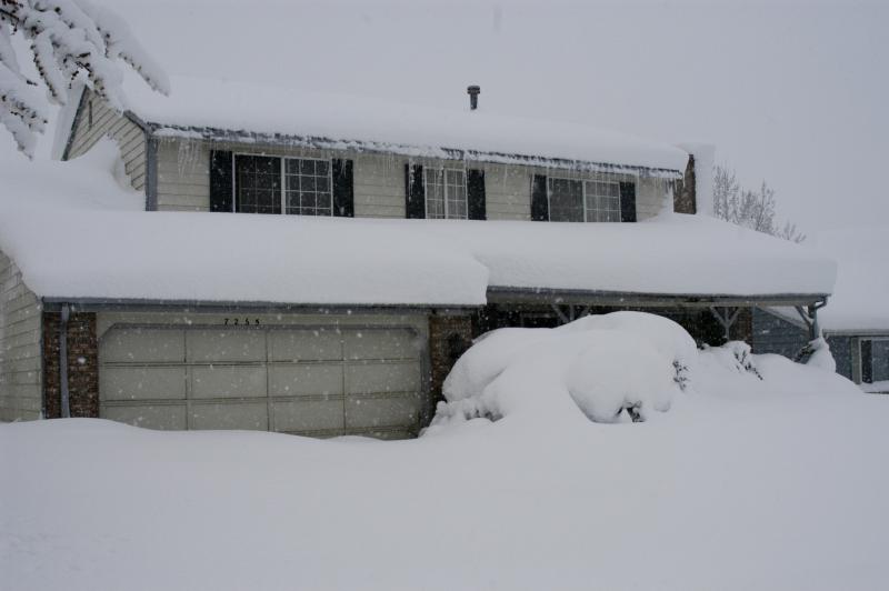Blizzard03_044
