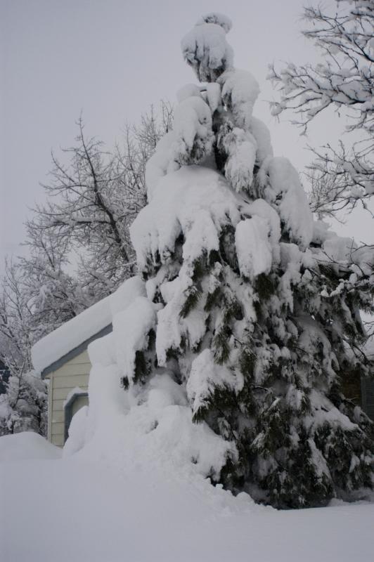 Blizzard03_058