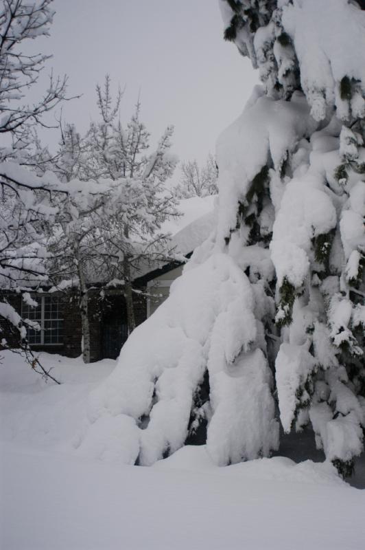 Blizzard03_060