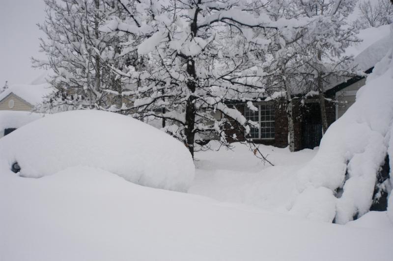 Blizzard03_061