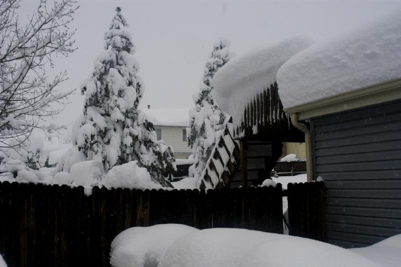 Blizzard03_074