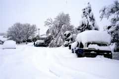 Blizzard03_018