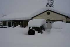 Blizzard03_023