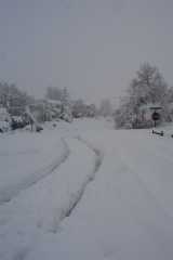 Blizzard03_025